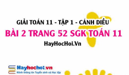 Giải bài 2 trang 52 Toán 11 tập 1 SGK Cánh Diều